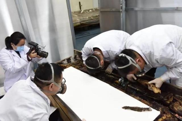 甘肅文物事業(yè)高質(zhì)量發(fā)展邁出堅實(shí)步伐《四》(圖2) 2.jpeg